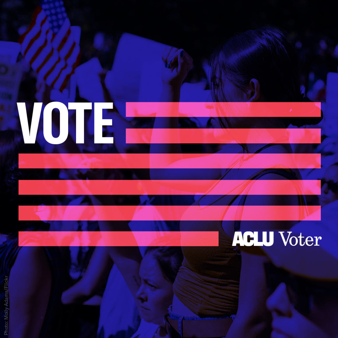 Voter Flag Protest